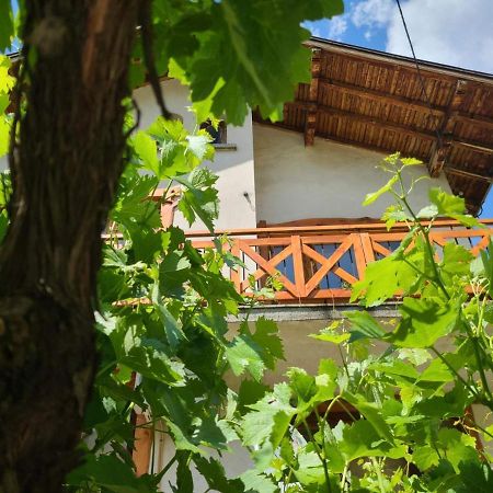 Вила 111 Sapareva Banya Luaran gambar