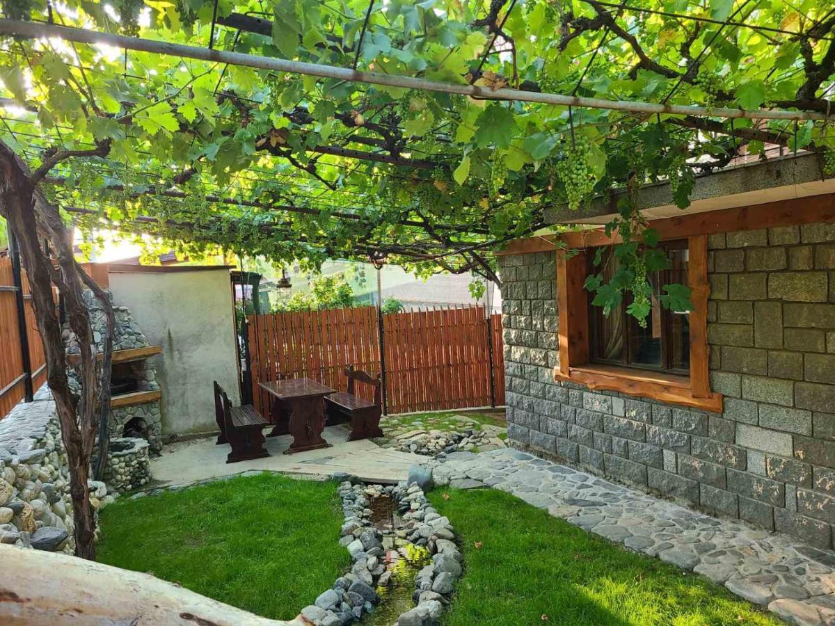 Вила 111 Sapareva Banya Luaran gambar